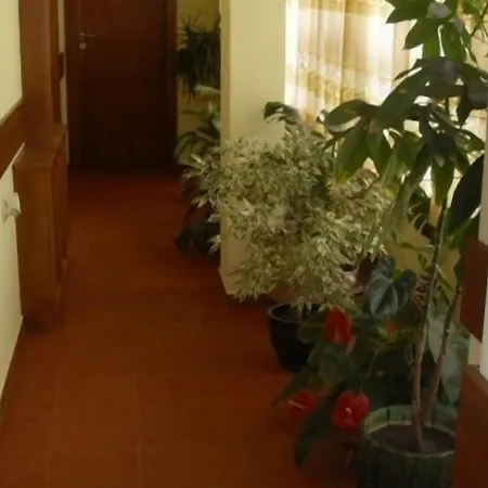 за гости - семейна ивел Bansko