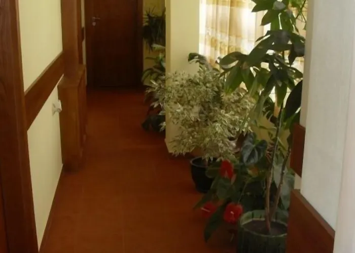 за гости - семейна ивел Bansko