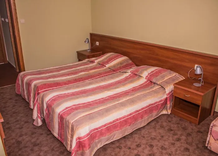 Hotel за гости - семейна ивел Bansko